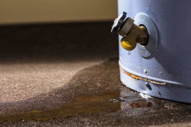 Best 24/7 water damage repair  in Northridge, OH