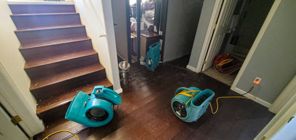 Best Water damage restoration cost  in Northridge, OH