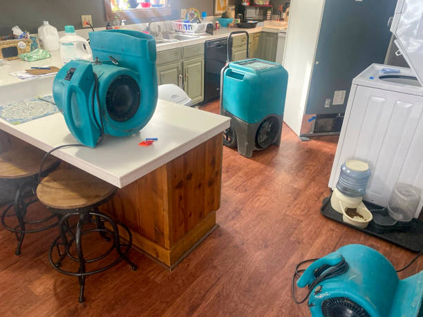 Best Flood damage cleanup  in Northridge, OH