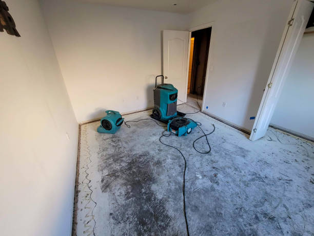 Best Flooded house restoration  in Northridge, OH