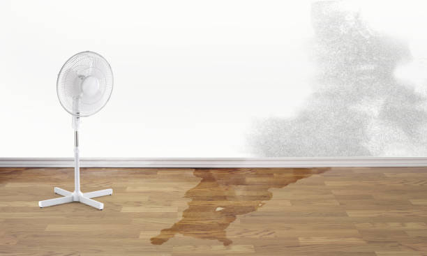 Best Water damage cleanup near me  in Northridge, OH
