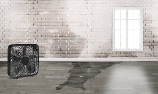 Best 24/7 water damage repair  in Northridge, OH