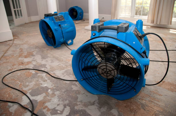 Best Ceiling water damage repair  in Northridge, OH