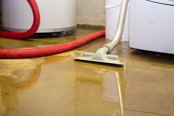 Best Flood damage cleanup  in Northridge, OH