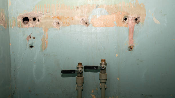 Best Mold removal after water damage  in Northridge, OH