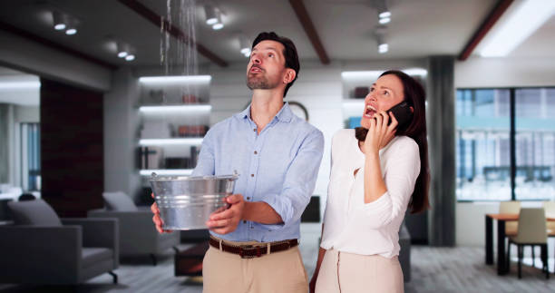 Best Water damage contractors near me  in Northridge, OH