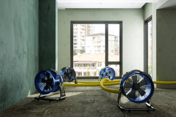 Best Commercial water damage restoration  in Northridge, OH