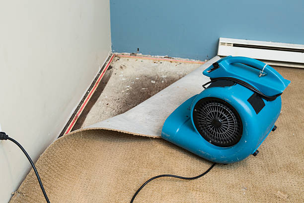 Best Fire Damage Restoration  in Northridge, OH